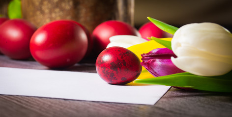 Beautiful easter greeting cards