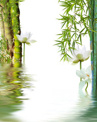 décor zen, Bouddha, bambou à noeud et lotus 