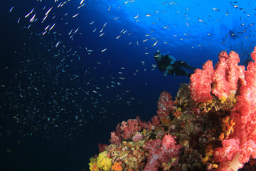 Fototapeta na wymiar Scuba divers diving on coral reef
