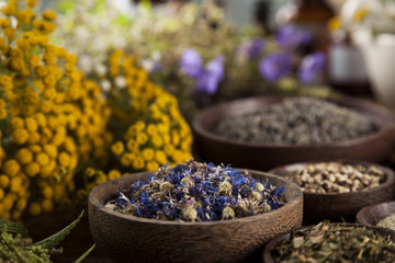 Herbs, berries and flowers with mortar, on wooden table background