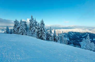 Winter Carpathian Mountains landscape, Ukraine.