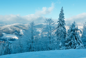 Winter Carpathian Mountains landscape, Ukraine.