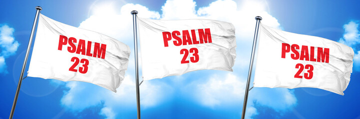 psalm 23, 3D rendering, triple flags
