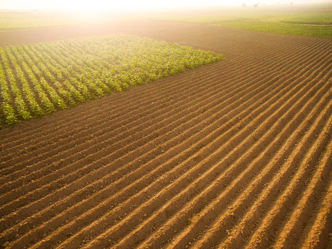 Aerial view ; Rows of soil before planting.Furrows row pattern in a plowed field prepared for planting crops in spring.Horizontal view in perspective.