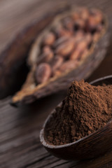 Cocoa beans in the dry cocoa pod fruit on wooden background