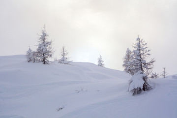 mountain view after a great snowfall