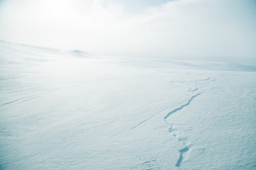 A beautiful, minimalist landscape of flat, snowy Norwegian field. Clean, light, highkey, decorative look.