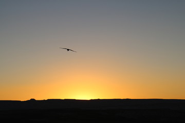 Fototapeta na wymiar Sunset in Arizona