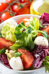 Fresh salad in a bowl. Green leaves tomatoes mozarella. Organic diet food