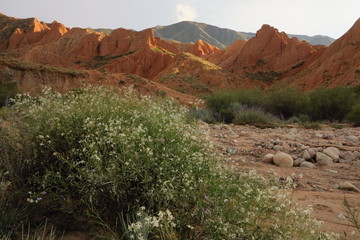 Multi-colored rocks in the steppes