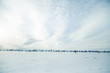 Fototapeta na wymiar A beautiful, minimalist landscape of snowy Norwegian fields with trees. Clean, light, high key, decorative look.