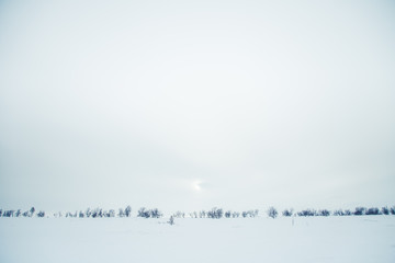 A beautiful, minimalist landscape of snowy Norwegian fields with trees. Clean, light, high key, decorative look.