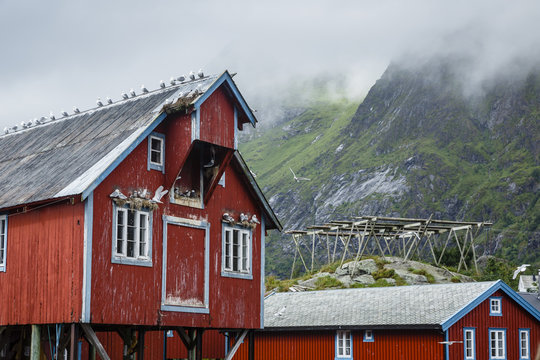 Traditional fishing cabins at the fishing village of &Aring; (Aa),  Moskenes, Lofoten islands, Norway.