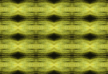 snake skin pattern for background