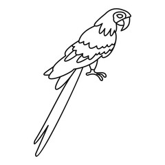 Parrot icon, simple style