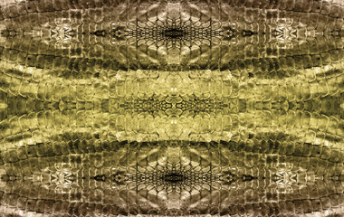 snake skin