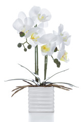 Plastic white orchid flower in pot