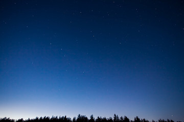  Blue dark night sky with many stars above field of trees
