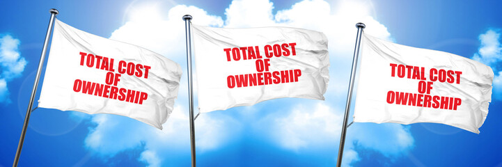 total cost of ownership, 3D rendering, triple flags
