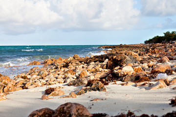 Fototapeta na wymiar The rocky coast of the azure Atlantic Sea in Cuba