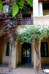 Fototapeta na wymiar garden morocco