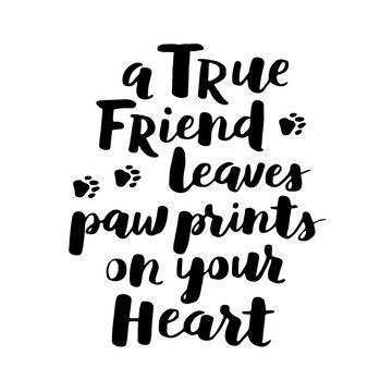 Dog hand written lettering. Brush lettering quote about the dog. Phrase about pet. Vector motivational saying with black ink on white isolated background.