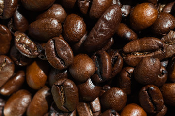 Coffee beans background