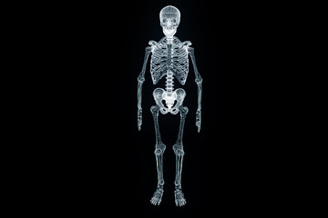 Human Skeleton Wireframe Hologram in Motion. Nice 3D Rendering
