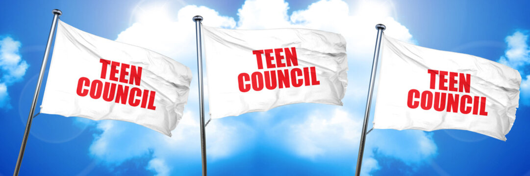 teen council, 3D rendering, triple flags - Powered by Adobe