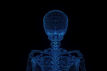 Human Skeleton Wireframe Hologram in Motion. Nice 3D Rendering
