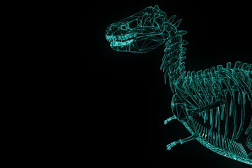 Dinosaur TRex Skeleton in Hologram Wireframe Style. Nice 3D Rendering   © bombastic80