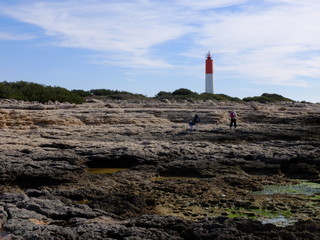 Obraz premium De la calanque de Tamaris à Cap Couronne