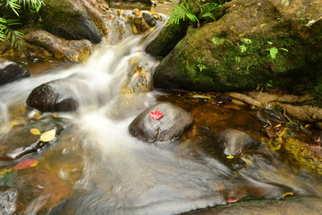 water fall in phu kradueng