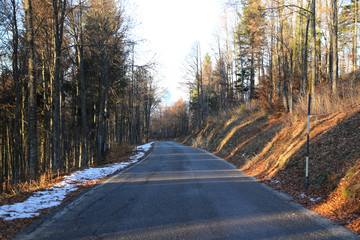 paved road through the woods in autumn with a bit of snow