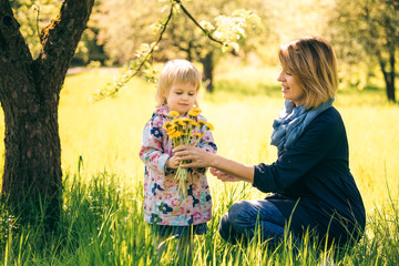 Portrait of happy family of two people on vacation with bouquet of dandelions. Young mother and little daughter having fun under blooming apple tree in spring garden. Age of child 2 years and 4 month.