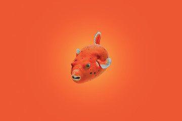 fish isolated on red background