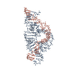 Hammerhead ribozyme is an RNA molecule that catalyzes targeted RNA cleavage and has therapeutic potential. Ball-and-stick model of the full-length form.