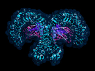 Toll-like receptor (TLR4) bound to MD2 (violet) and LPS (lipopolysaccharide; purple). Proteins shown as cartoon, space-filling model of LPS, semi-transparent surface.