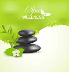 Wellness spa treatment, vector banner green background information