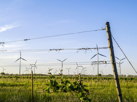 Windpark Parndorf, Austria, wind wheels, winegrowing, Burgenland