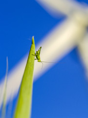 Windpark Parndorf, Austria