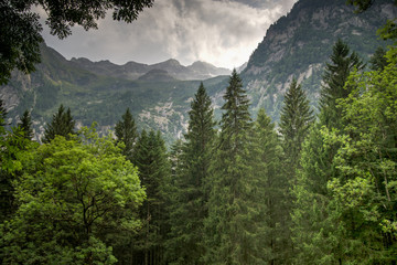 Mountain landscape in Alps