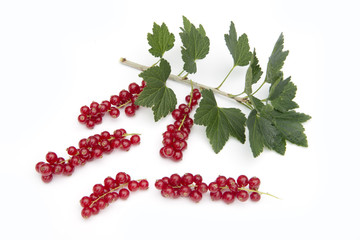 red currant