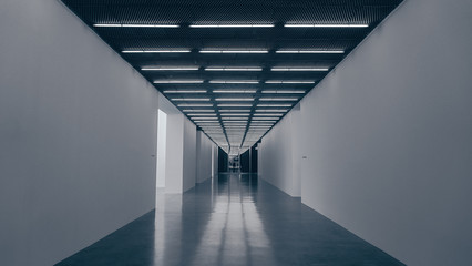 Leading Lights