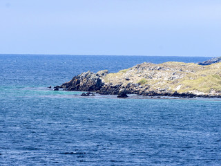 gypsy cove, Falklands Islands