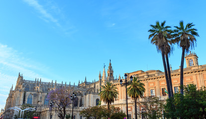 Fototapeta premium Seville Cathedral, Spain.
