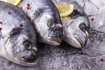 Dorado fish close-up