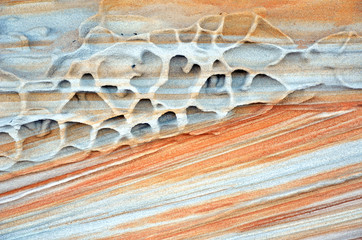 Shapes and patterns of weathered Sydney (Hawkesbury) sandstone sculpted by wind and water, on the New South Wales coast. Texture background.