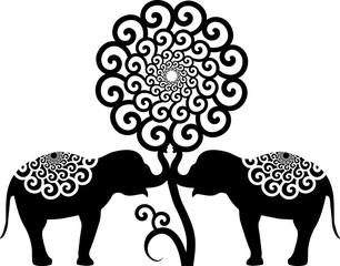 Baby elephants