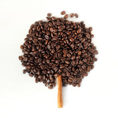 concept coffee tree/ flat layout of the roasted beans with cinnamon stick on the surface of the...